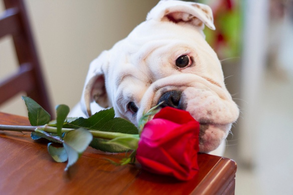 Don't forget to stop and smell the roses!